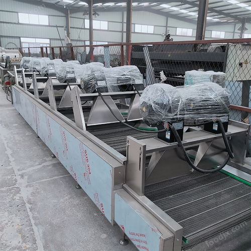 桑葚山楂多次翻轉(zhuǎn)瀝水風(fēng)干機設(shè)備