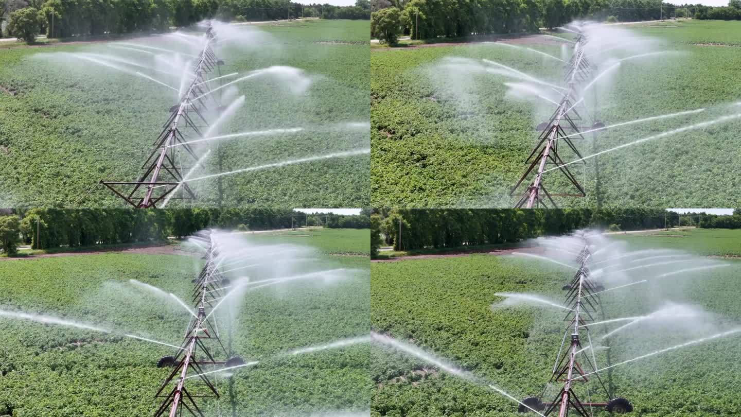 威斯康辛州中部的一片農(nóng)田正在用灑水系統(tǒng)進(jìn)行灌溉。