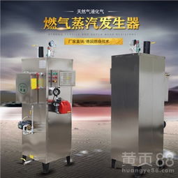 水洗廠專用設備立式天然氣蒸汽發生器